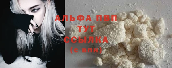спайс Пересвет
